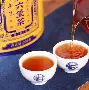 乐动体育游戏- 2024年8月31日晚广东宏远男篮对德国 